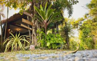 Others 2, Tung Bed and Breakfast (Tung Homestay), Muang Nan