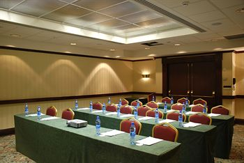 Others 3, Aerostar Hotel Moscow, Northern