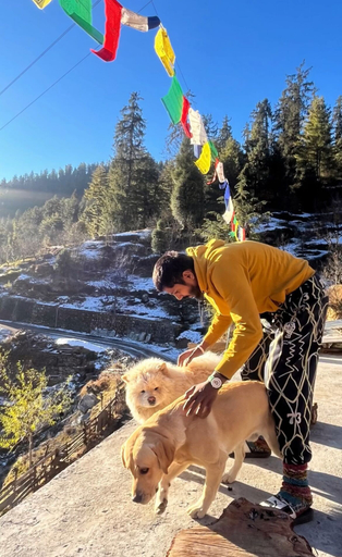 Pet-friendly 4, Sotra's Shivadelic, Kullu