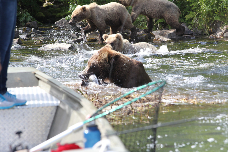Others 5, Great Alaska Adventures Lodge, Kenai Peninsula