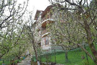 Others 3, Shepherd Inn the Hill , Kullu