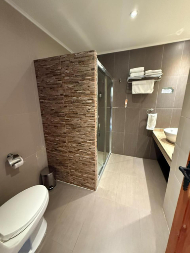 Bathroom 3, Hotel Origenes, Huasco