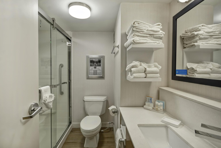 Bathroom 4, Hampton Inn Auburn, Lee