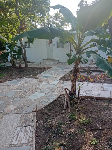 Exterior & Views, Inez Roots Hostel