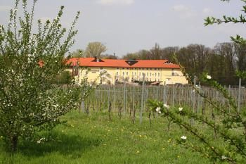 Others 5, MAXX by Steigenberger Deidesheim, Bad DĂĽrkheim