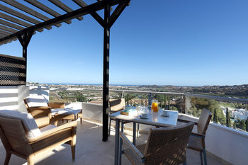 Terrace or Patio