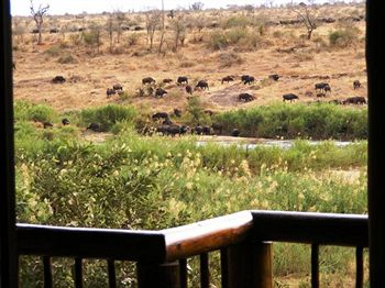 Others 3, Elephant Walk Retreat, Ehlanzeni