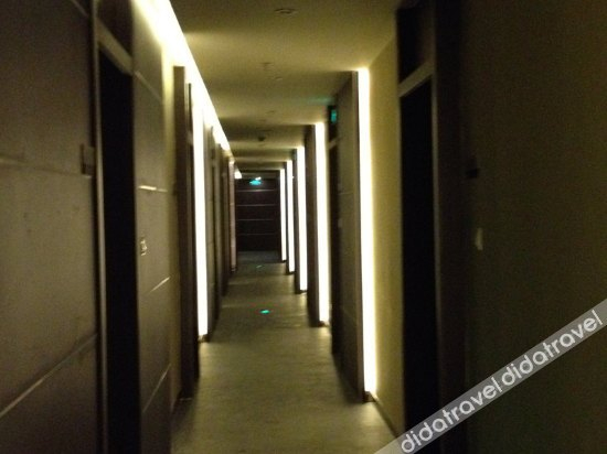 Others 5, Rentai bussiness Hotel, Shanghai