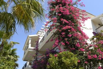Others 5, Delfino Blu Wellness Boutique Hotel, Ionian Islands