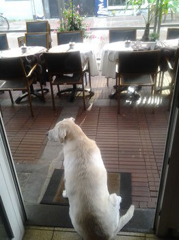 Others 1, Hotel 't Hert, Limburg