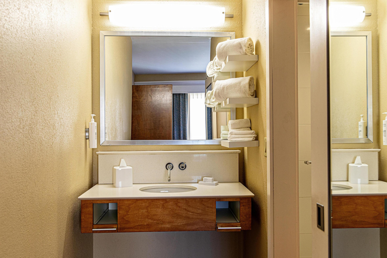 Bathroom 3, Hampton Inn Charleston - Daniel Island, Berkeley