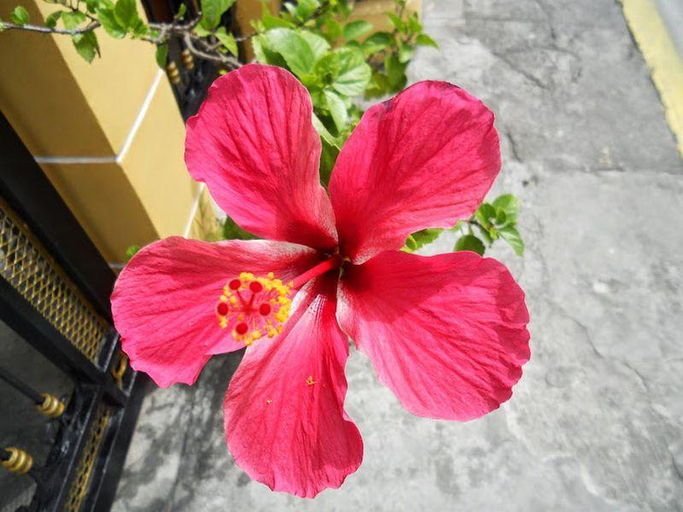 Others 5, Guesthouse Cavite, General Trias