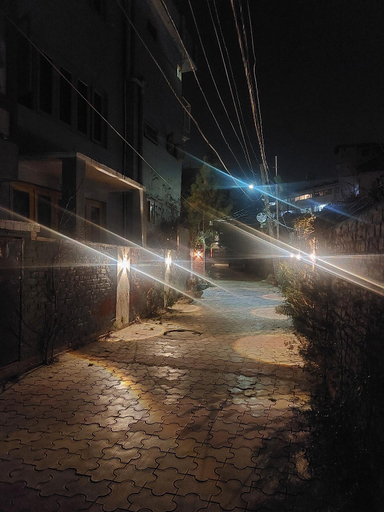 Exterior & Views 3, Bing Homestay, Srinagar