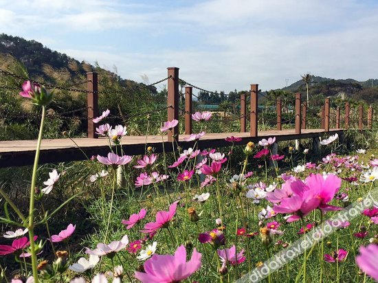 Others 5, Mandenburg Hot Spring Resort Hotel(Fogang Hemingzhou), Qingyuan