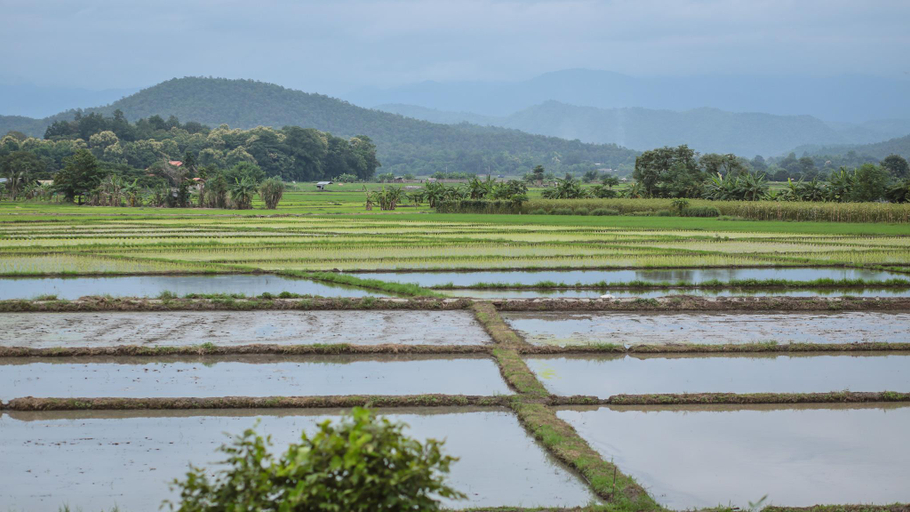 Others 3, Mala Dhara Eco Resort, Doi Saket