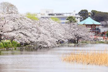 Others