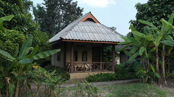 Others 5, Banana House Pai, Pai
