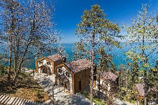 Others 4, HANCIOĞLU ÇAMBURNU ORMAN EVLERİ, Of
