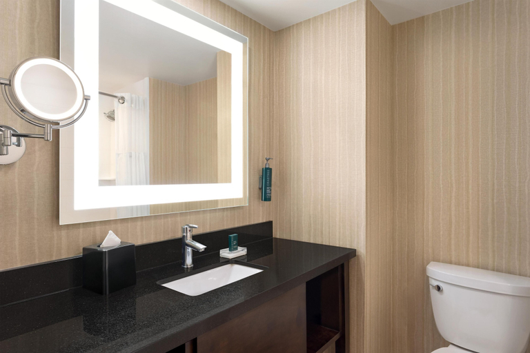 Bathroom 5, DoubleTree by Hilton Pointe Claire Montreal Airport West, Montréal