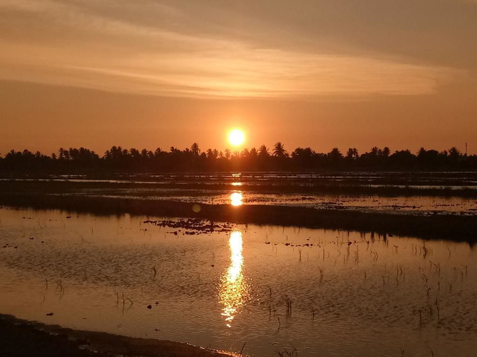 Others 4, Kurau Inn Farmstay, Kerian
