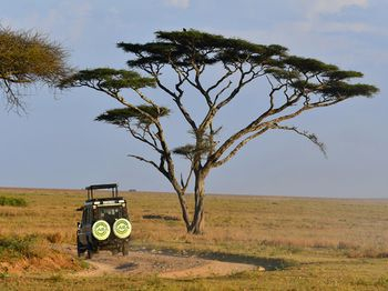 Others 2, Serengeti Wild Camps, Serengeti