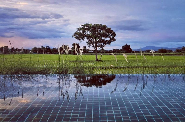 室外游泳池 5, Rice Villa ChiangMai, Mae Rim