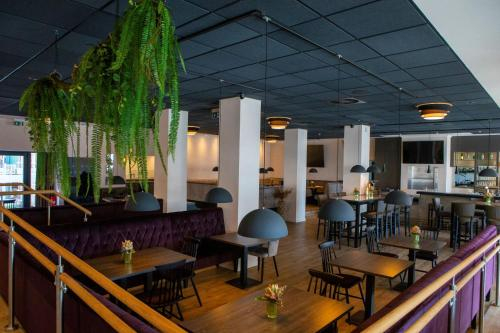 Food & Drinks