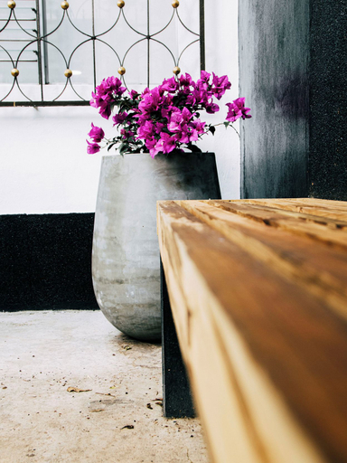 Others 5, Casa Lupe Hostal, Envigado