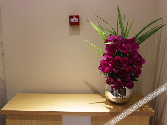 Others 2, Shangyuan International Hotel, Shenzhen