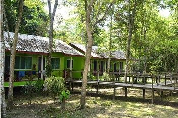 Others 2, Sukau Greenview Bed & Breakfast, Kinabatangan