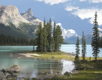 Others 5, Mount Robson Inn, Division No. 15