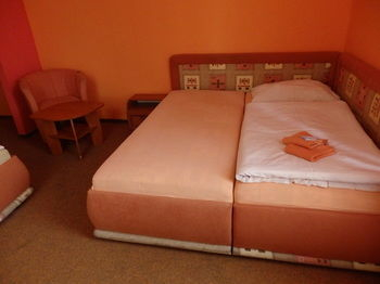 Others 4, Hotel Zlaty Kriz, Teplice