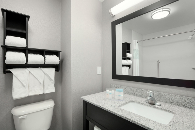 Bathroom 4, Hampton Inn & Suites Roanoke Airport, Roanoke City