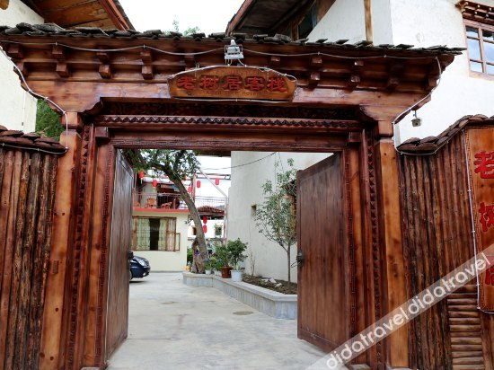 Others 4, Aged-tree hotel, Dêqên Tibetan