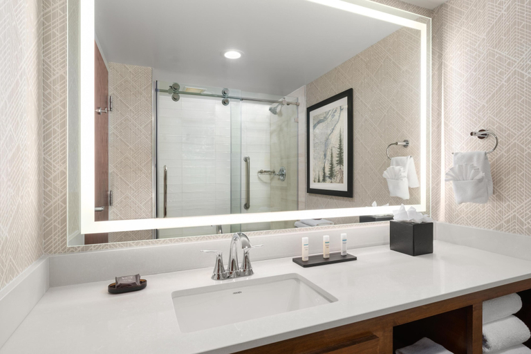 Bathroom 4, Embassy Suites by Hilton Portland Airport, Multnomah