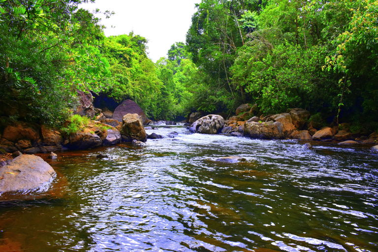 Others, Kuruwita Retreat, Kuruvita