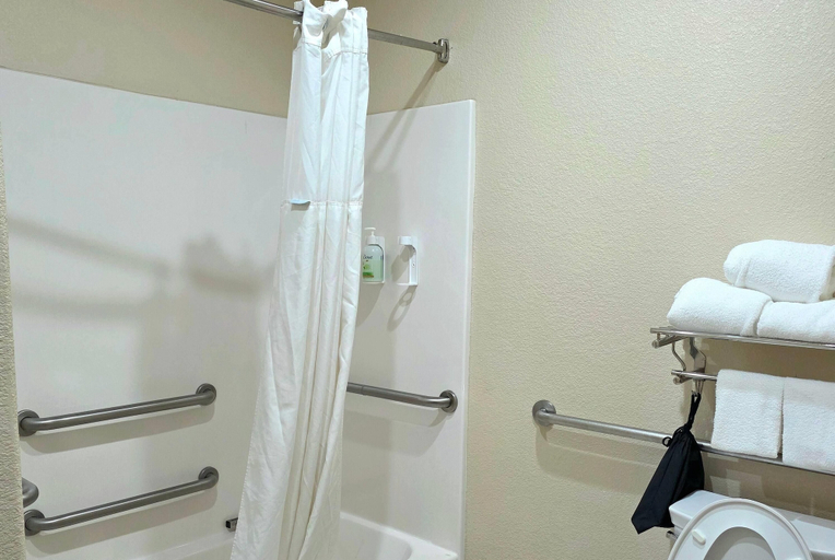 Bathroom 4, Ramada by Wyndham South Waco, McLennan