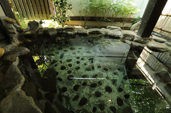 Natural Pool, Ryokan Minawa, Minamiaso