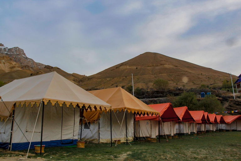4, Nunkun Camp Shargole Kargil, Kargil