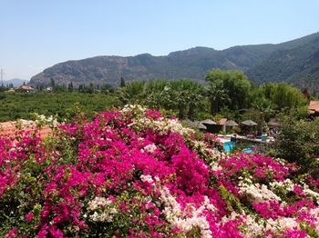 Others 4, Bahaus Resort, Ortaca