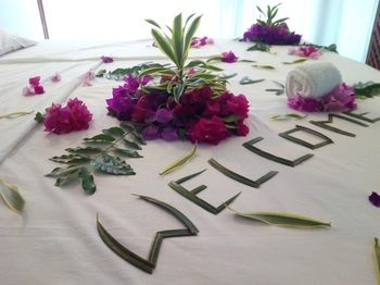 Others 5, Silver Rock Hotel, Malindi