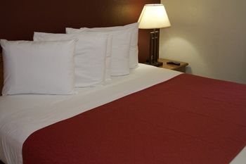 Others 3, ザ・ダーウィン・ホテル(The Darwin Hotel), Atlanta