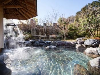 Natural Pool 4, Meitetsu Inuyama Hotel, Kakamigahara