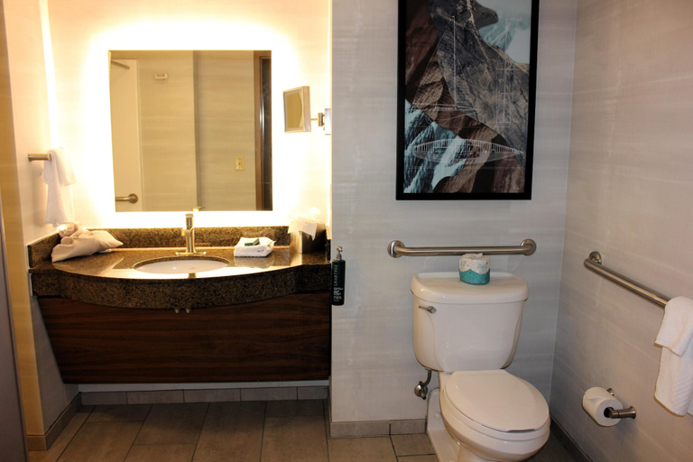Bathroom 5, DoubleTree by Hilton Bay City - Riverfront, Bay