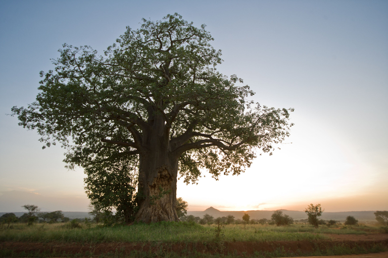 Exterior & Views, Tarangire Sopa Lodge, Babati