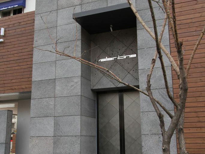 Exterior & Views 2, Valentine Hotel, Goyang