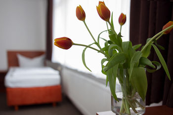 Featured Image, Eckstein, Berlin