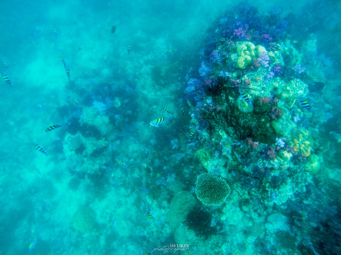 Others 2, Sawan Resort, Muang Satun