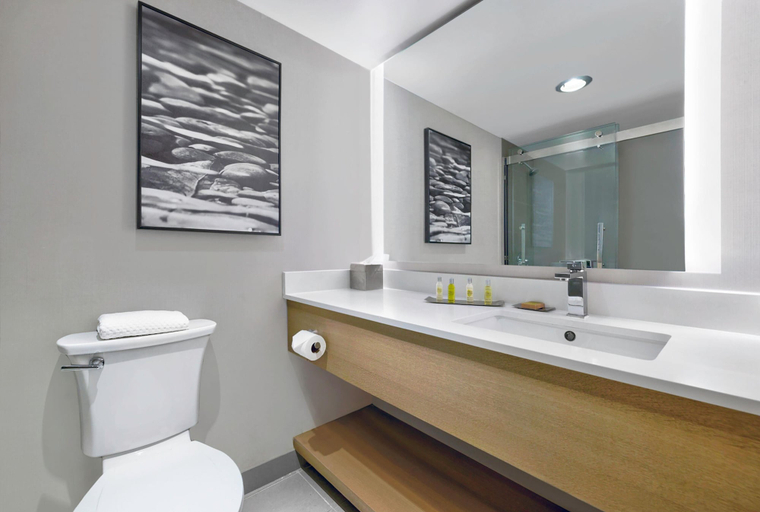 Bathroom 5, DoubleTree by Hilton Davenport, Scott