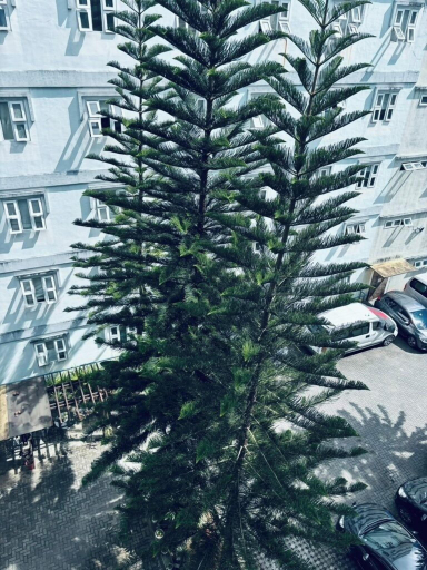 Exterior & Views 2, Smart Stay 2600, Baguio City
